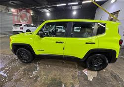 جيب رينيجيد